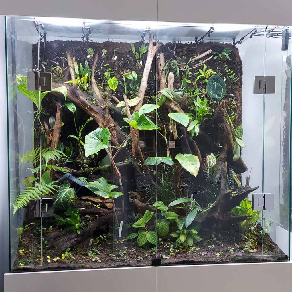 Ścienne, szklane terrarium roślin tropikalnych - wykonanie także w Twoim domu.