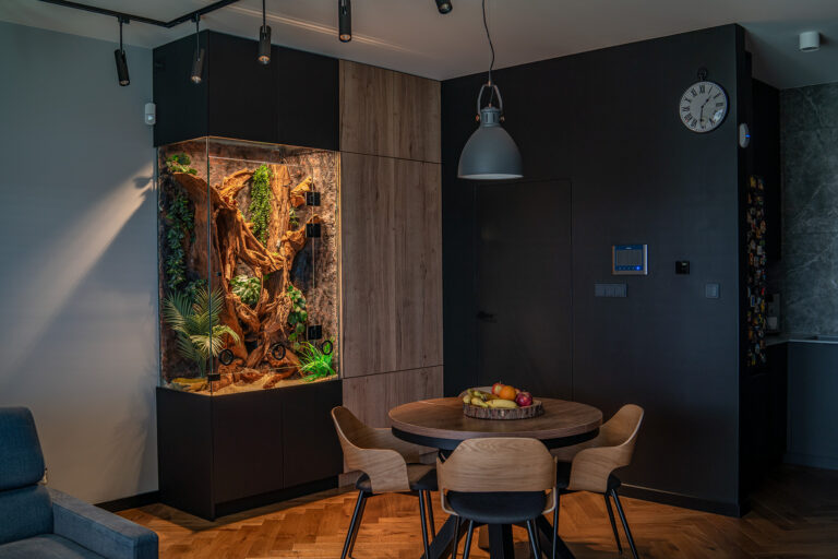 Terrarium dla węża dużym habitatem mieszkalny dla Twojego przyjaciela i ulubieńca.