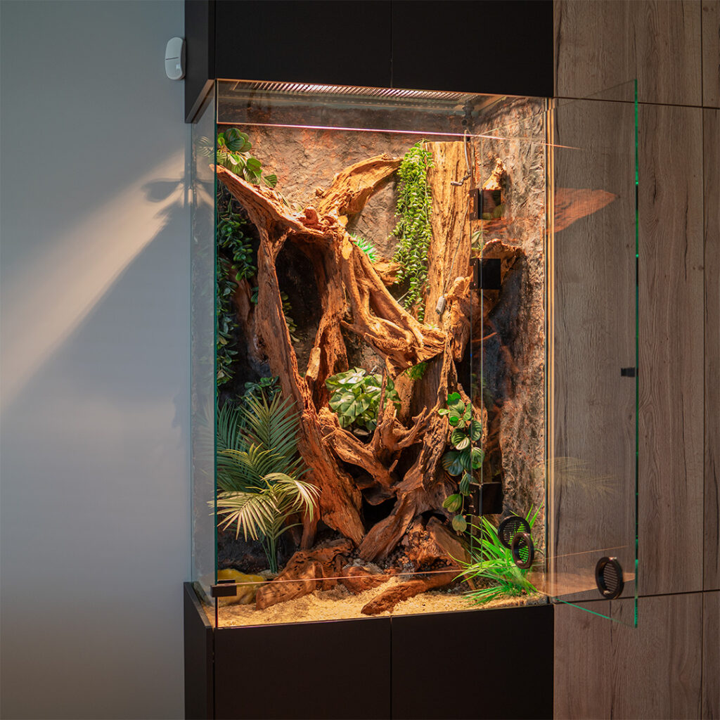 Szklane drzwi terrarium otwierane na oścież na zawiasach kabinowych.