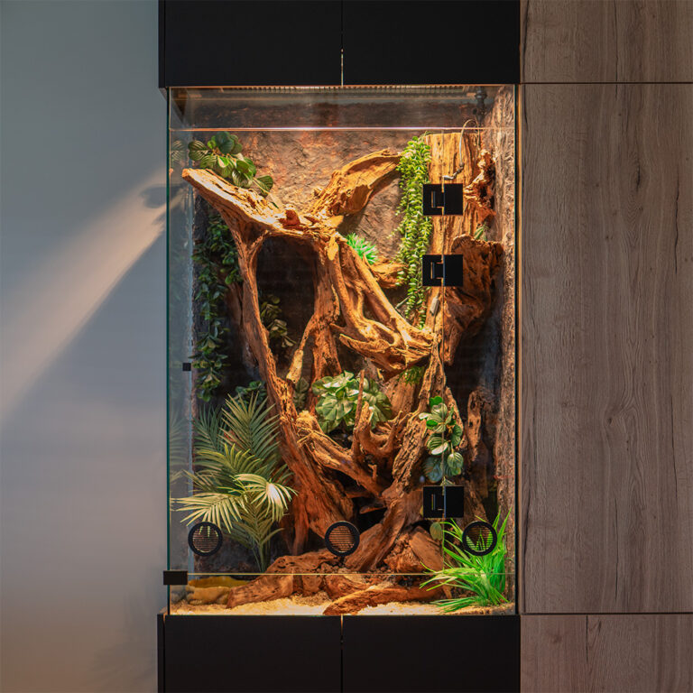 Duży wybór sztucznych roślin do wykorzystania przy zakładaniu terrarium dla węża.