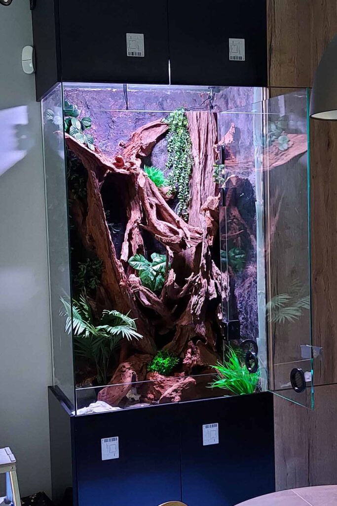 Szklane terrarium dla węża na zamówienie.