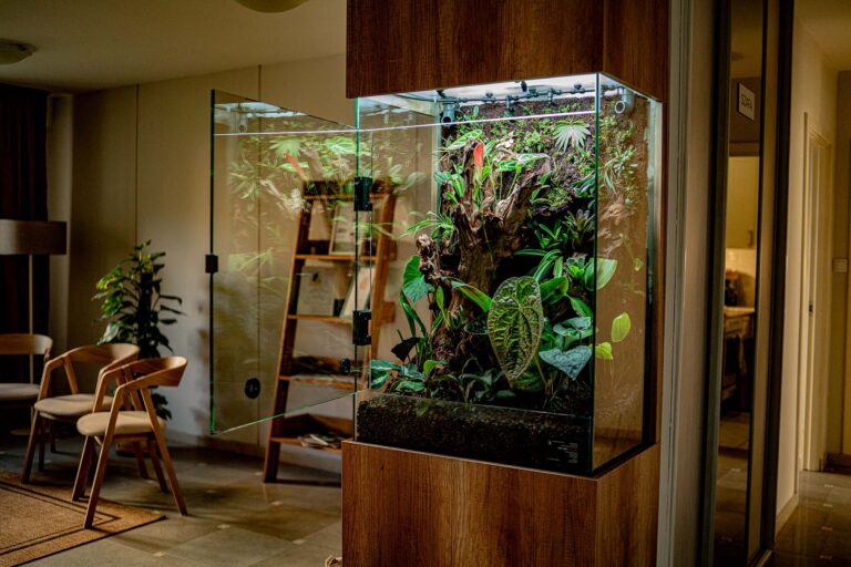 Efektowne roślinne terrarium szklane w poradni zdrowia.