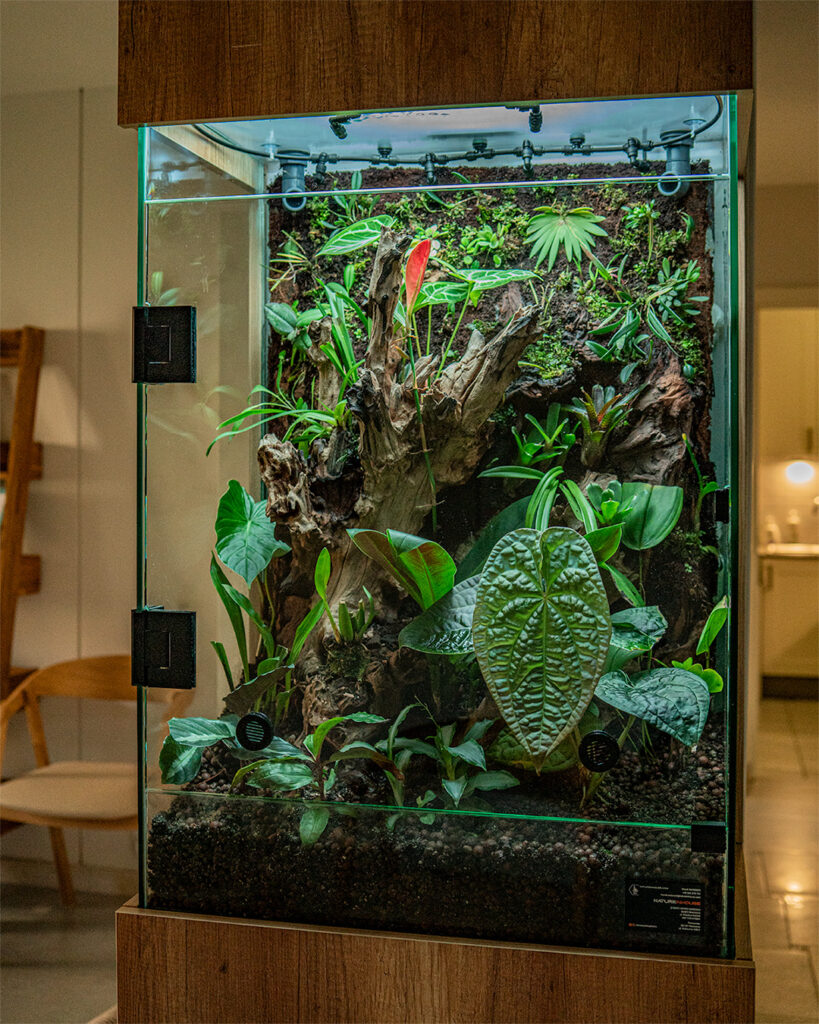 Terrarium to obszar o zadanych i trwałych warunkach umożliwiających zdrowe i higieniczne życie, rozwój i prokreację żywych organizmów zwierząt i roślin.