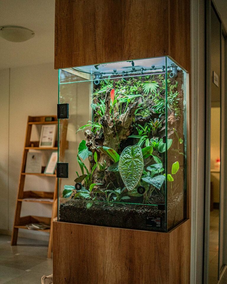 Szklane drzwi dużego terrarium roślinnego.