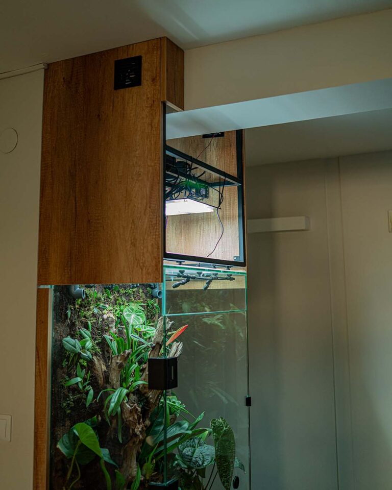 Dostawa i założenie terrarium obejmuje także stalowe konstrukcje nośne.