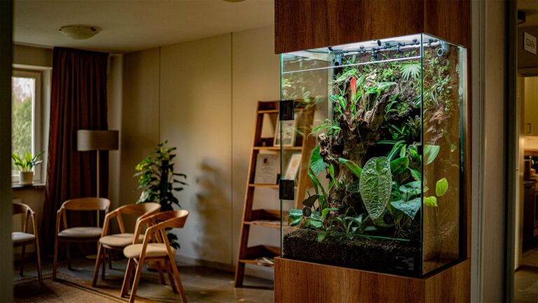 Duże terrarium szklane ozdobą pomieszczenia użytkowego, np. poczekalni.