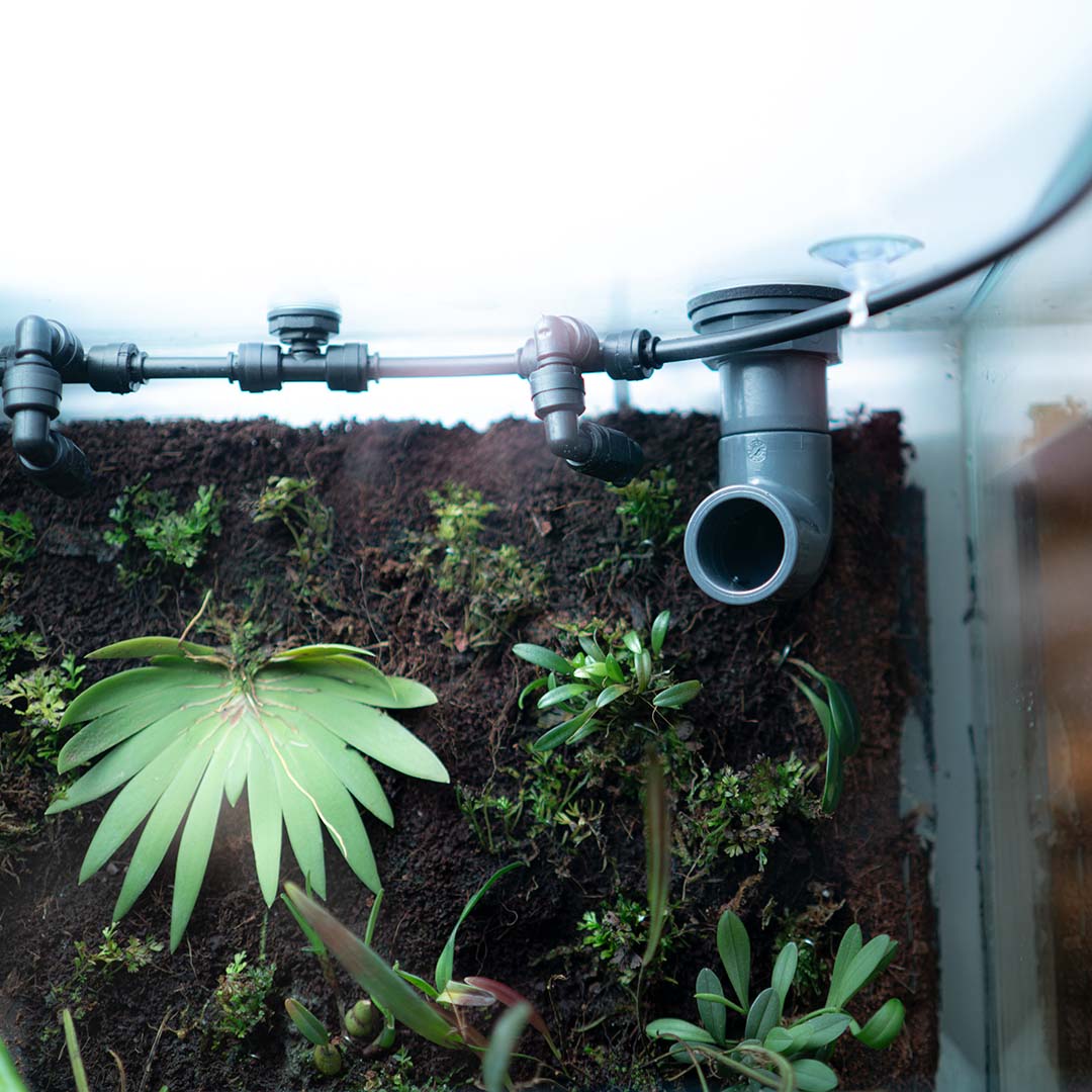 Wylot kanałowej mechanicznej wentylacji w terrarium roślinnym.