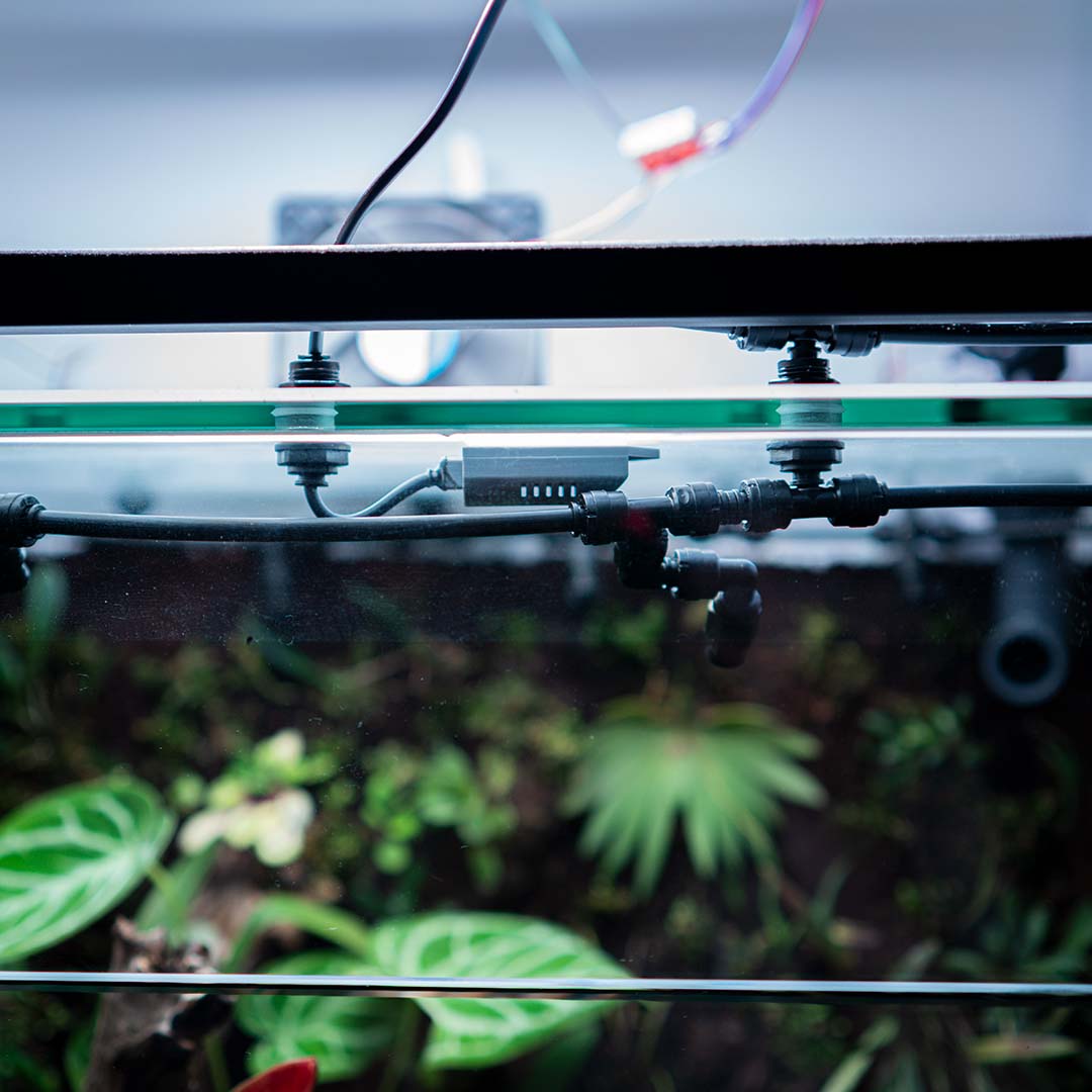 Parametry powietrza w terrarium można wysterować funkcjonalnym higrostatem.