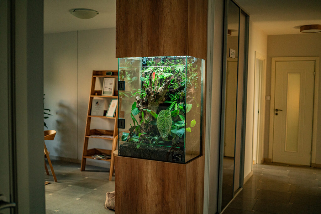 Bioaktywne terrarium szklane w poczekalni poradni psychologicznej.