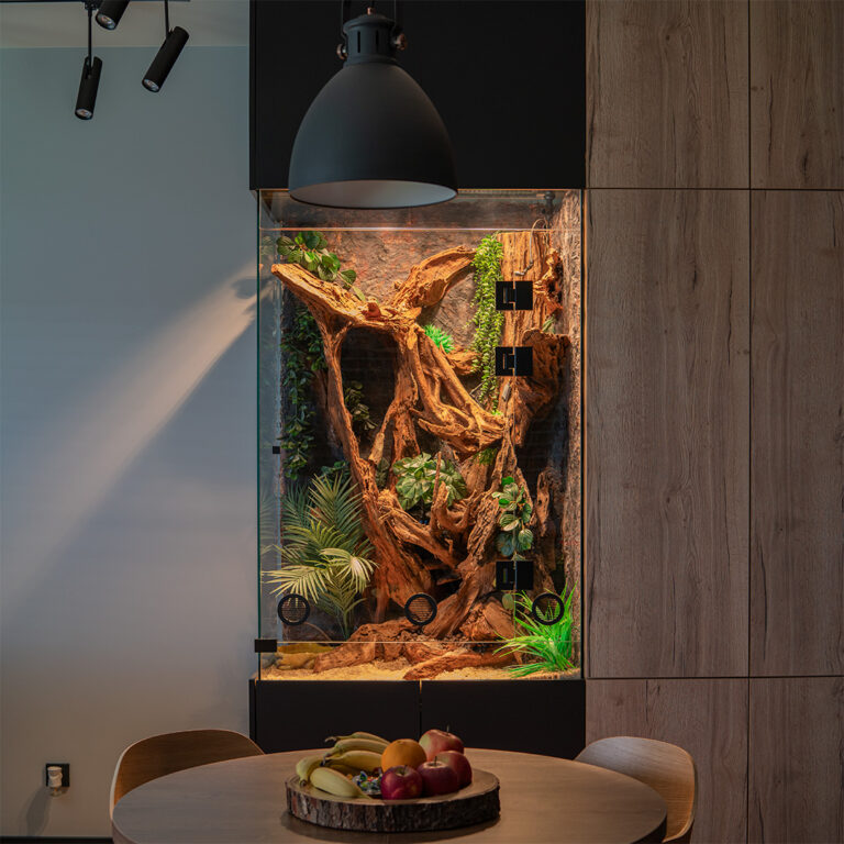 Aranżacja wewnętrzna z naturalnych korzeni do terrarium dla pytona królewskiego.