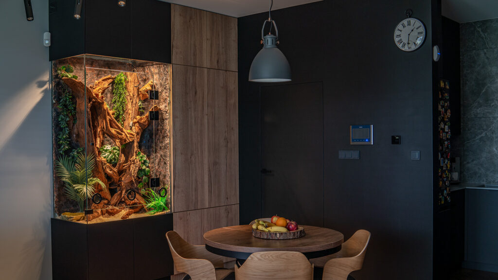 Efektowne wykonanie szklanego terrarium dla węża.