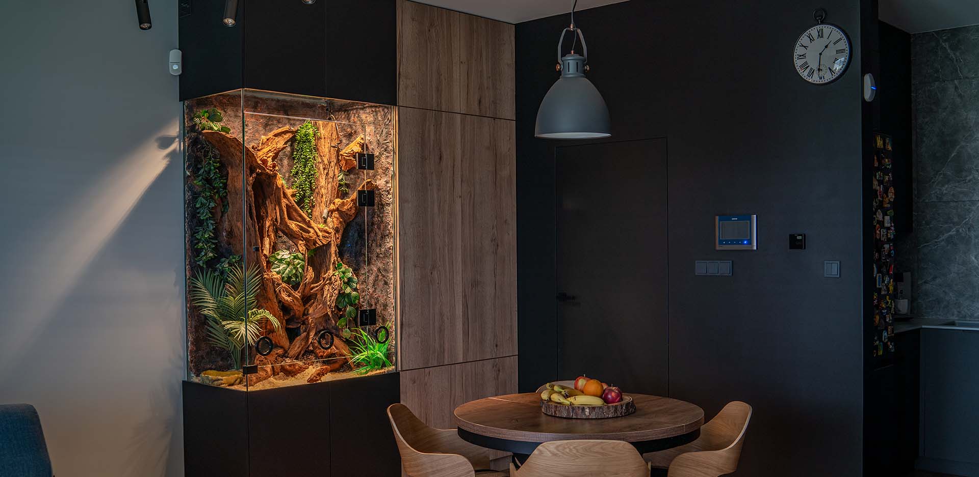 Duże terrarium dla pytona w salonie domu jednorodzinnego.