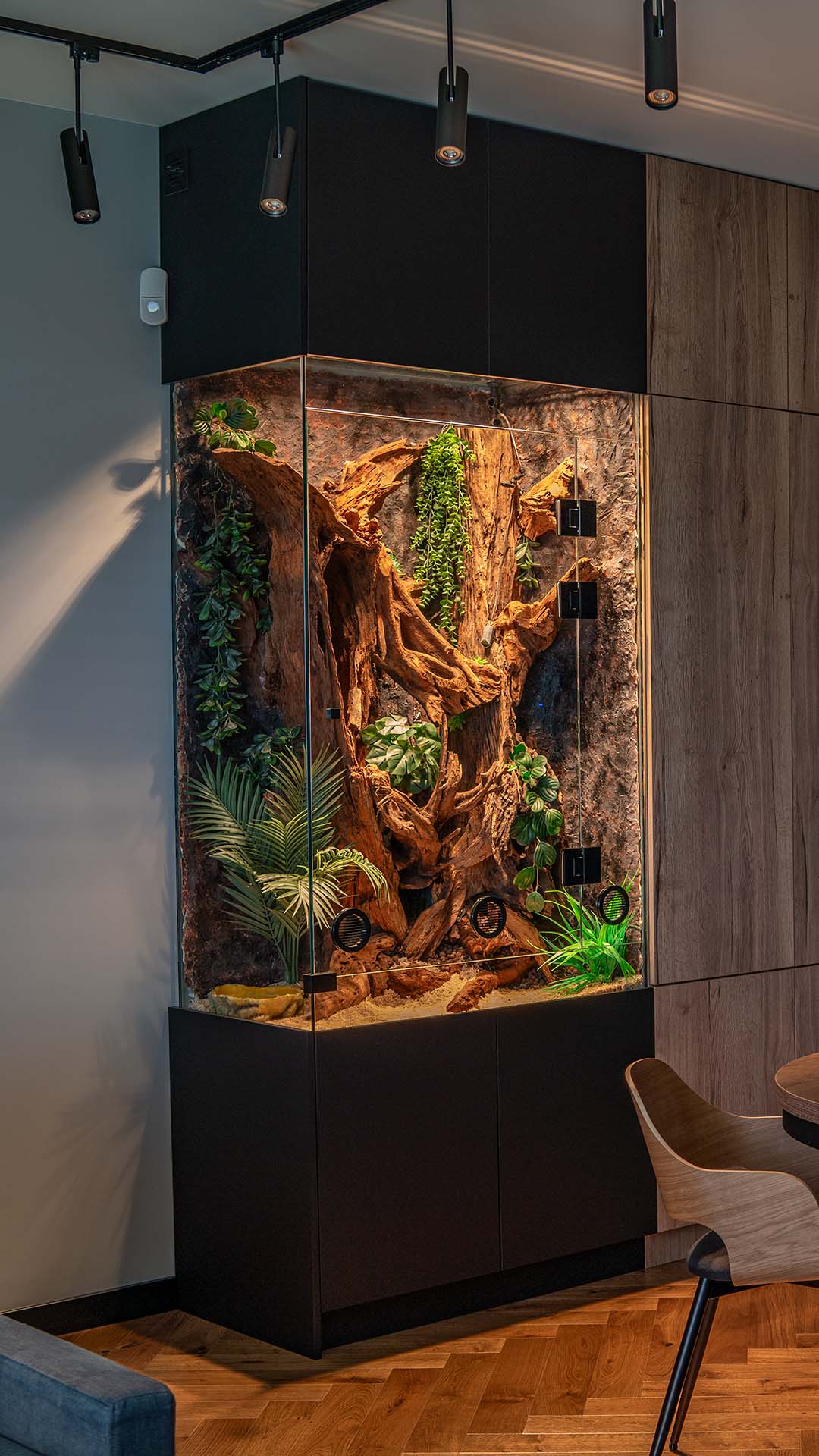 Duże terrarium dla pytona w salonie domu jednorodzinnego.