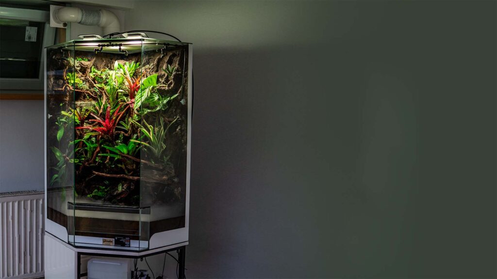 Paludarium z wodospadem powierzone pracowni roślin tropikalnych NATUREINHOUSE celem modernizacji terrarium.