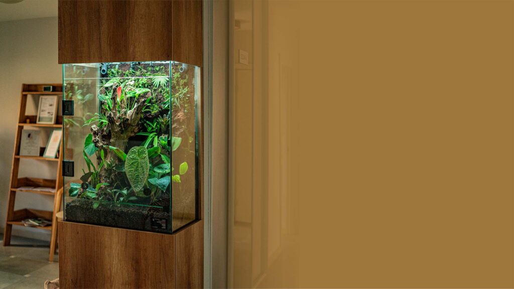 Terrarium szklane wykonane na zamówienie Klienta w Warszawie.