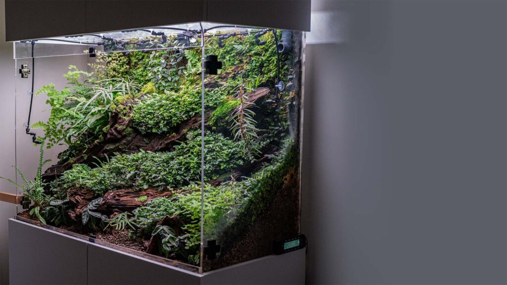 Wiwarium co to jest ? To rodzaj zamkniętego terrarium habitatu roślin egzotycznych.