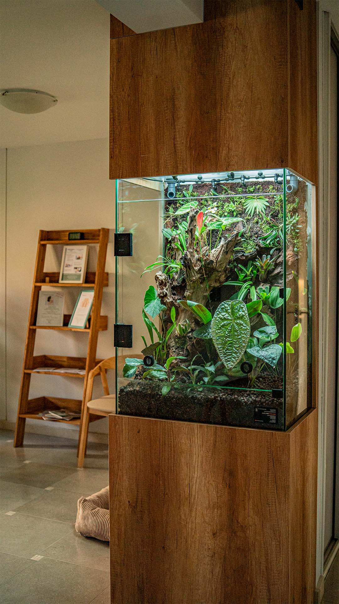Terrarium szklane wykonane na zamówienie Klienta w Warszawie.