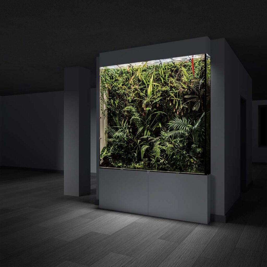 Koncepcja i projekt akrylowego terrarium imitującego deszczowe lasy Borneo.