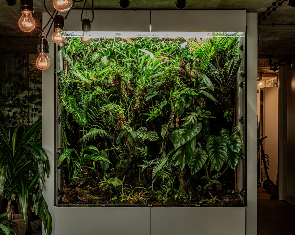 Domowy habitat terrarium roślinnego może być ciekawą alternatywą obcowania z naturą dla osób wysokofunkcjonujących.