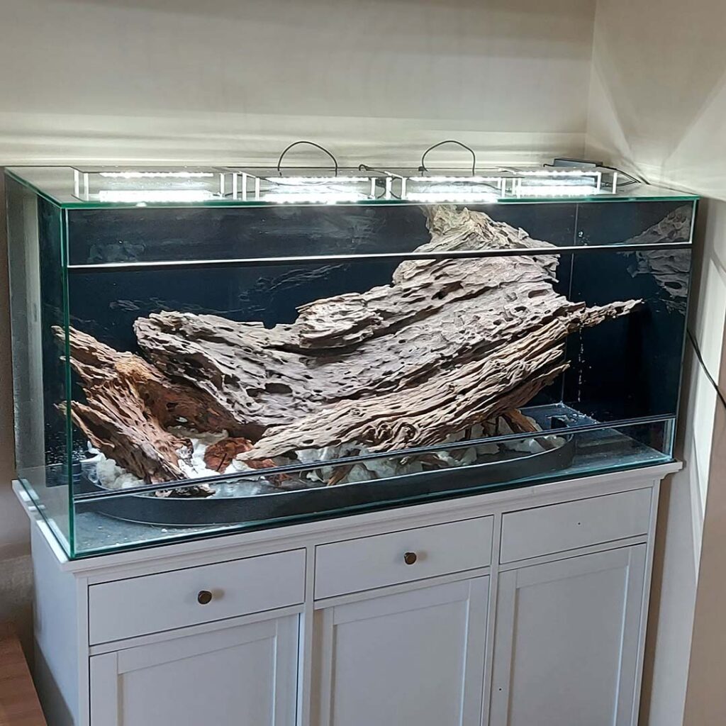 Naturalne korzenie w szklanym terrarium dla drzewołazów.