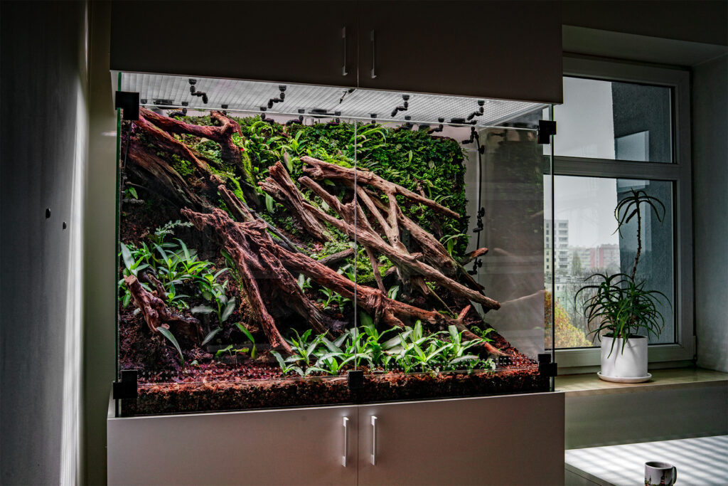 Eleganckie terrarium z uchylnymi frontami na zawiasach.