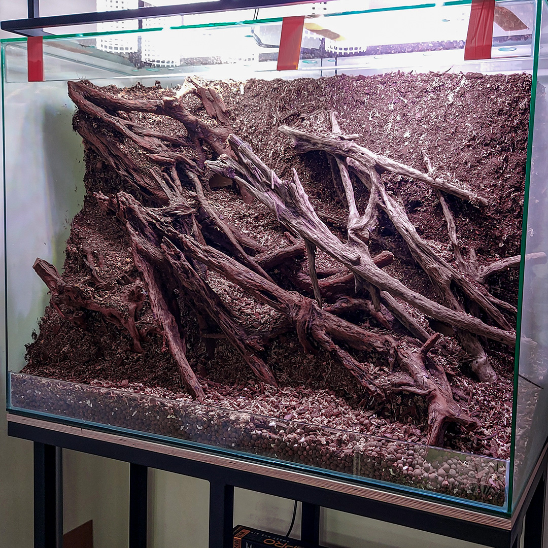 Jak zrobić ściankę w terrarium ?