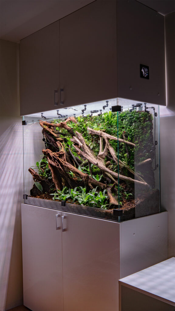 Nowoczesne terrarium roślinne w zabudowie meblowej.