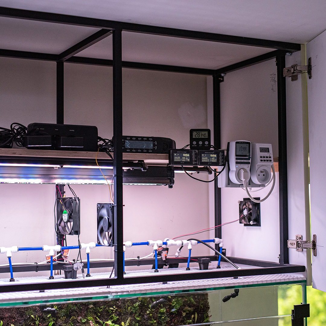 Wyposażenie terrarium.