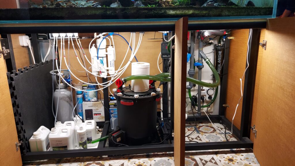 Wybór dużego filtra oraz jego regularne czyszczenie to absolutna podstawa dobrej kondycji akwarium roślinnego.